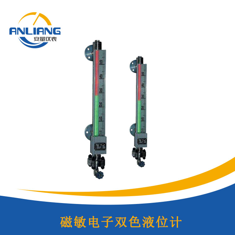 磁敏電子雙色液位計